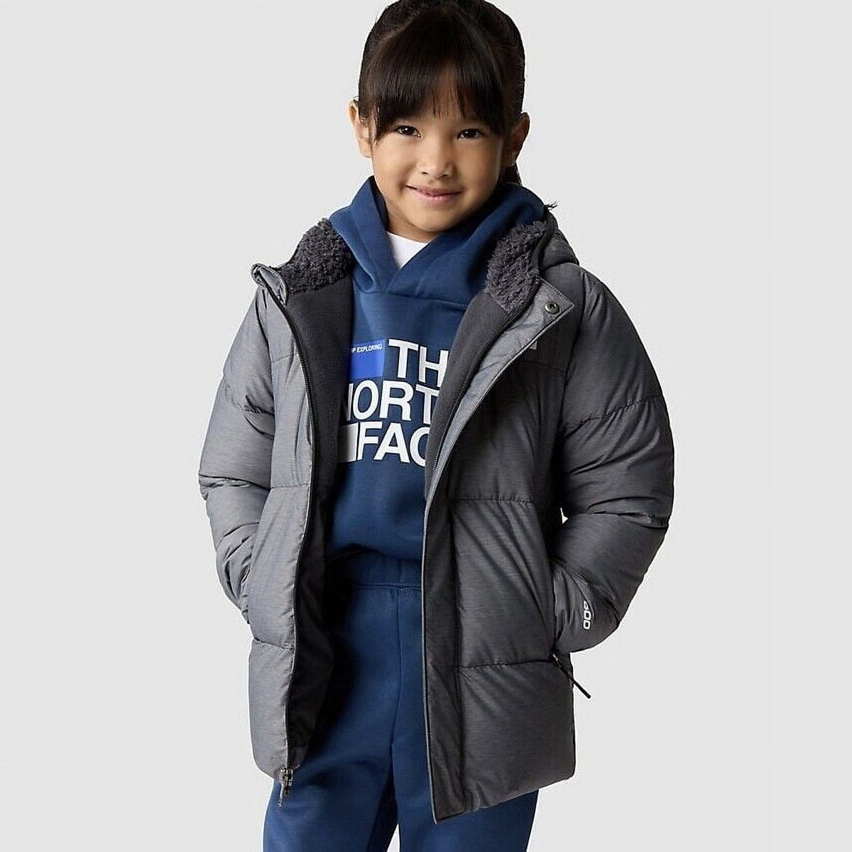 The North Face NF0A82YLDYY Puffer Jacket Toddler Gray Full Zip Hooded SGN813 (Gray,3)